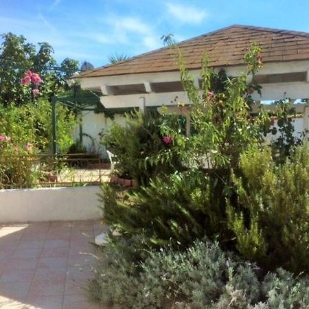 Appartement 3 Chambres Proche Mer Entre Palavas Les Flots Et Frontignan Plage Dans Maison Avec Jardin Вильнев-ле-Магелон Экстерьер фото